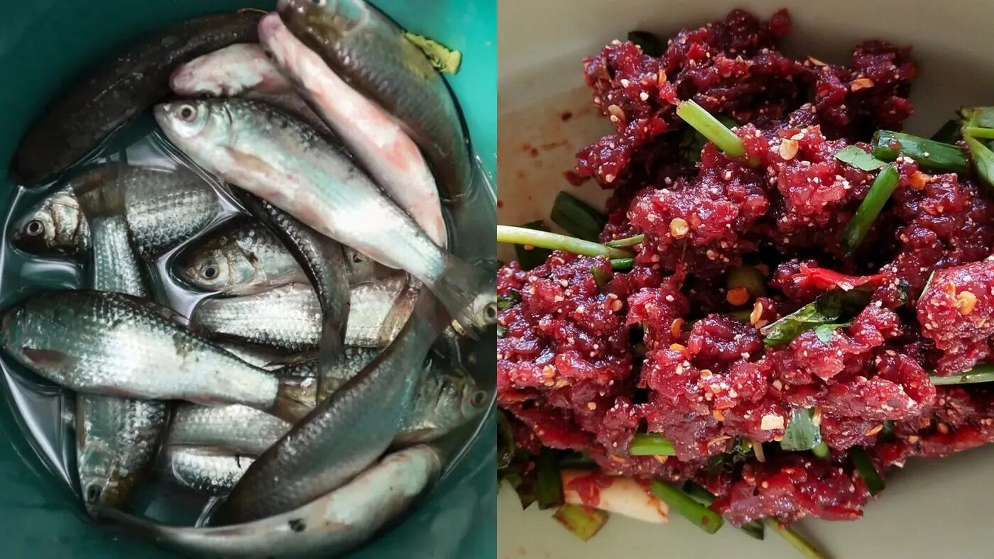 2 loại cá làm tăng nguy cơ mắc ung thư: Là món ‘khoái khẩu’ của nhiều người 4 2 loại cá làm tăng nguy cơ mắc ung thư: Là món ‘khoái khẩu’ của nhiều người 2 loai ca lam tang nguy co mac ung thu la mon khoai khau cua nhieu nguoi