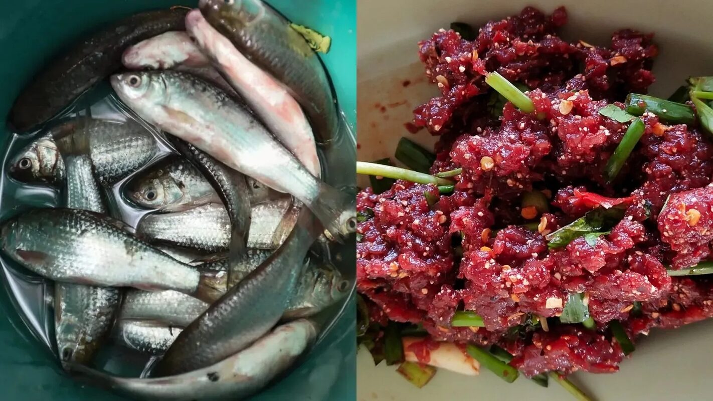 2 loại cá làm tăng nguy cơ mắc ung thư: Là món ‘khoái khẩu’ của nhiều người 2 loai ca lam tang nguy co mac ung thu la mon khoai khau cua nhieu nguoi