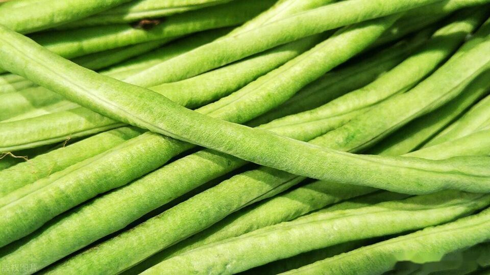 3 loại rau ăn sống nhiều "phá gan", ngon bổ mấy cũng đừng tham ăn 1 3 loại rau ăn sống nhiều "phá gan", ngon bổ mấy cũng đừng tham ăn