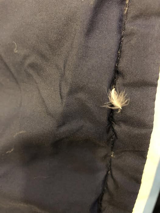 Cách khắc phục áo lông vũ bị ra lông 1 Cách khắc phục áo lông vũ bị ra lông