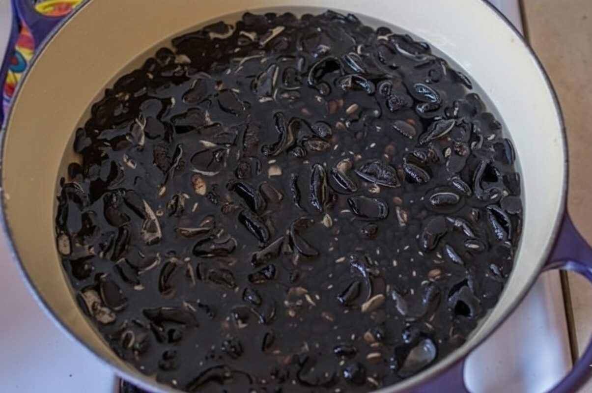 Chị em nào ăn đậu đen mà VỨT BỎ phần này thì đừng mong tăng sinh collagen, dưỡng da, chống lão hóa 1 Chị em nào ăn đậu đen mà VỨT BỎ phần này thì đừng mong tăng sinh collagen, dưỡng da, chống lão hóa