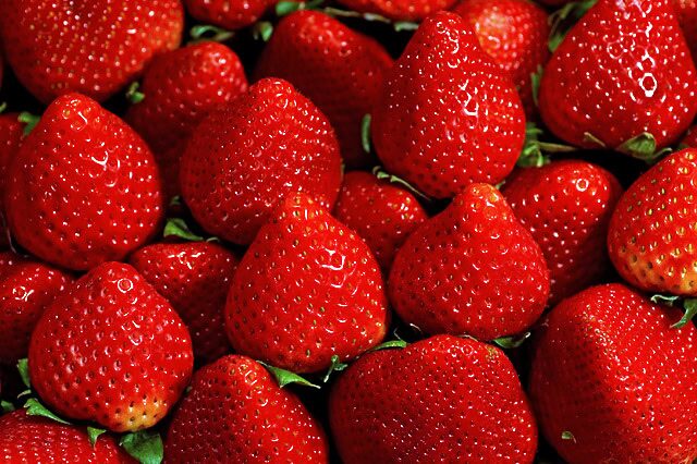 Đột quỵ rất “sợ” loại quả này, vừa là “vua vitamin C” còn giàu chất chống oxy hóa: Người Việt ăn nhiều mà không biết 10 Đột quỵ rất “sợ” loại quả này, vừa là “vua vitamin C” còn giàu chất chống oxy hóa: Người Việt ăn nhiều mà không biết dot quy rat so loai qua nay vua la vua vitamin c con giau chat chong oxy hoa nguoi viet an nhieu ma khong biet